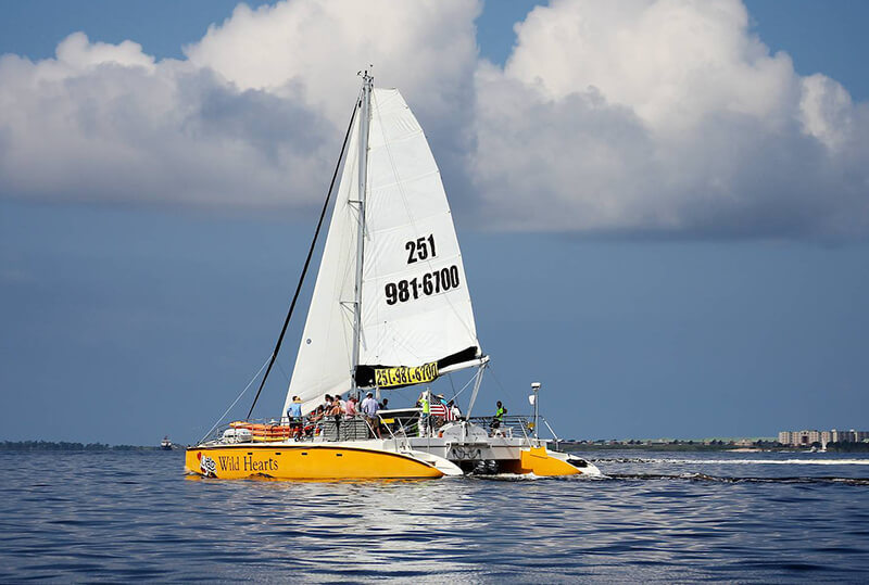 Wild Hearts’ Sunset Cruise