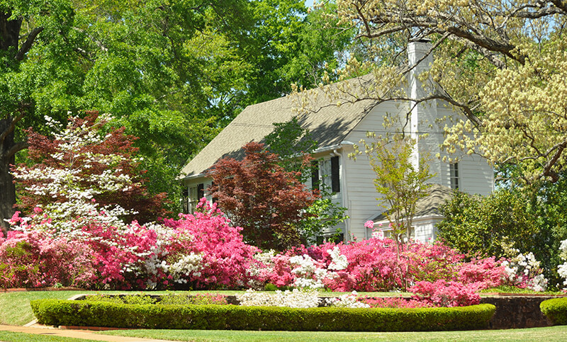 Azalea Residential Historic District