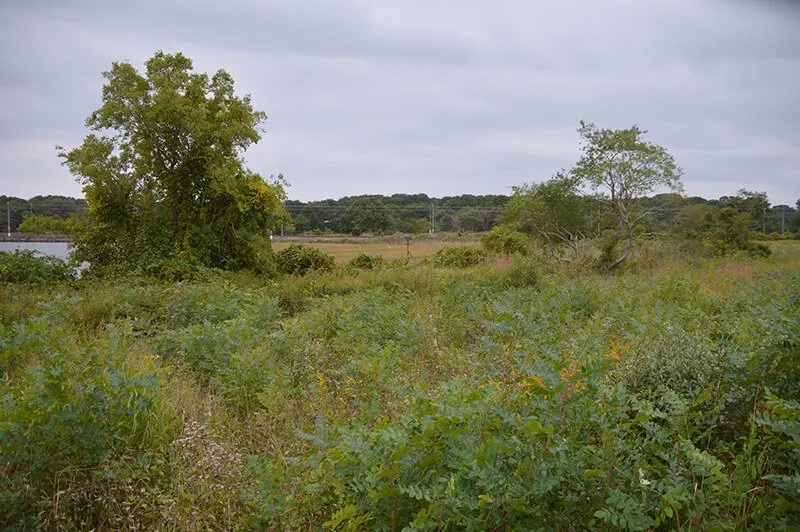 Haley Farm State Park