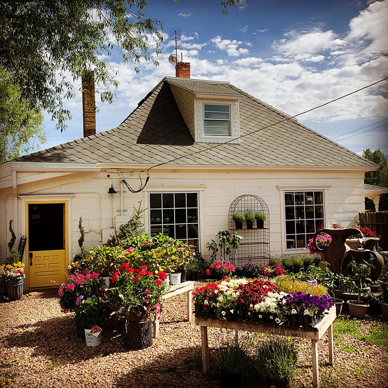 Park City Nursery