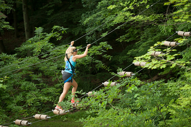 Tree Trails Adventures