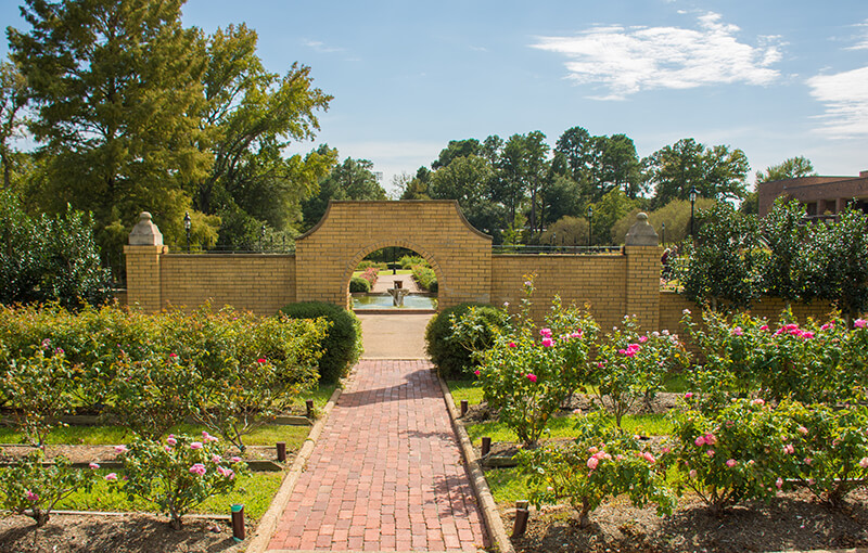 Tyler Rose Garden