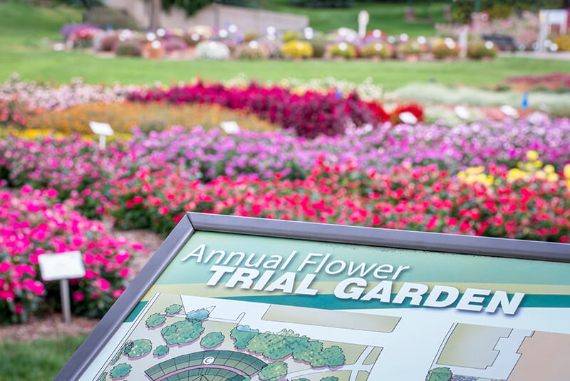 Annual Flower Trial Garden