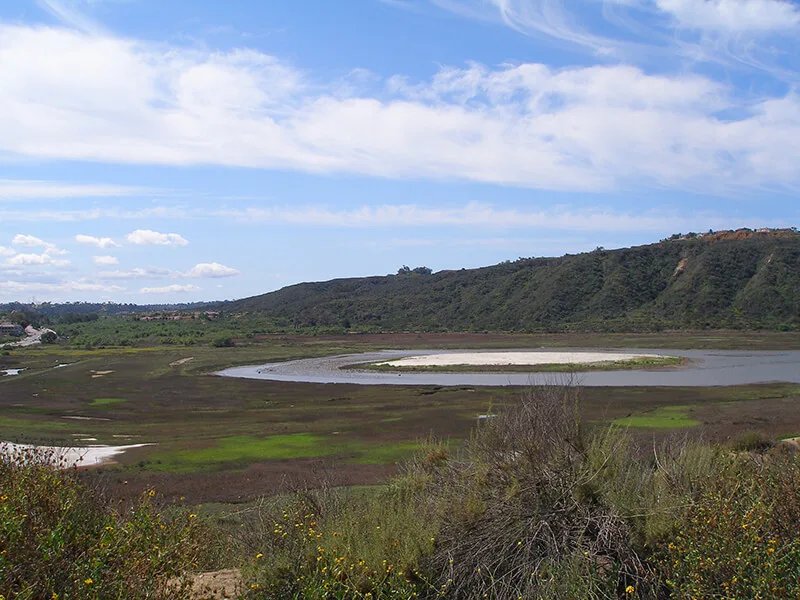 Batiquitos Lagoon Foundation