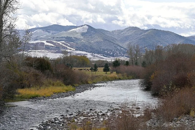 Gallatin River