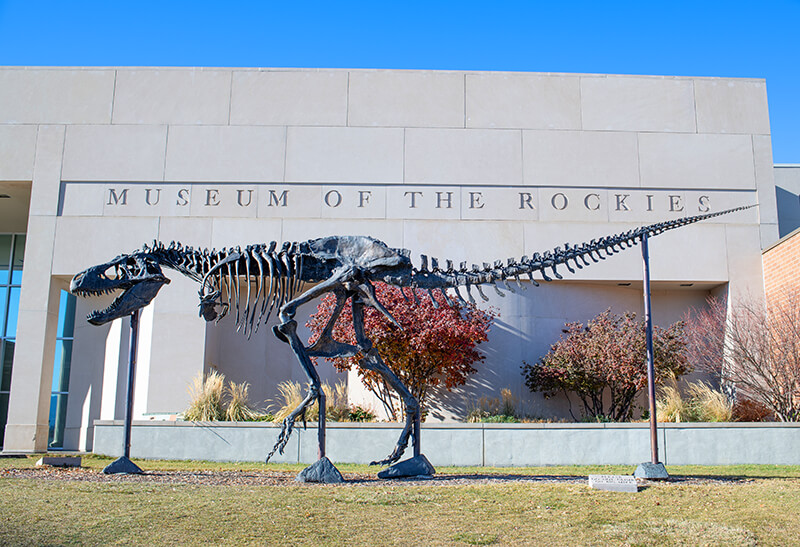 Museum of the Rockies