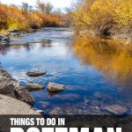 fun things to do in Bozeman, MT