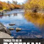 fun things to do in Bozeman, MT