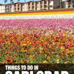 things to do in Carlsbad, CA