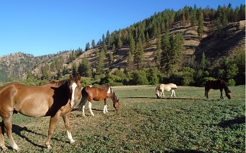 Eagle Creek Ranch