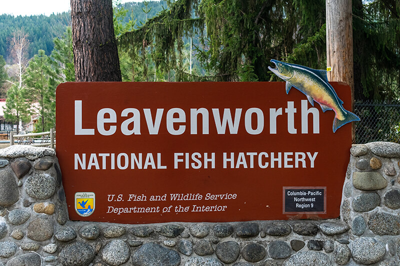 Leavenworth National Fish Hatchery