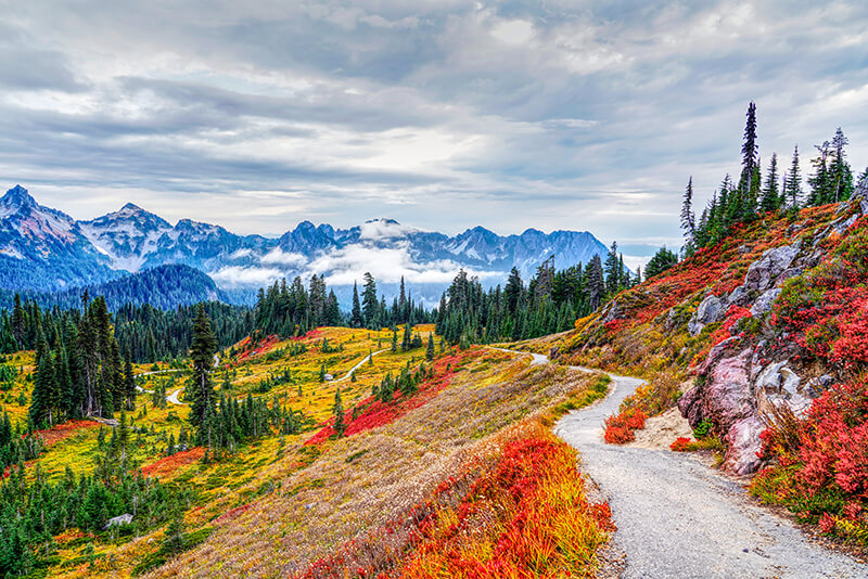 Mount Rainier National Park