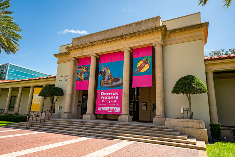 museum of fine arts st. petersburg tree