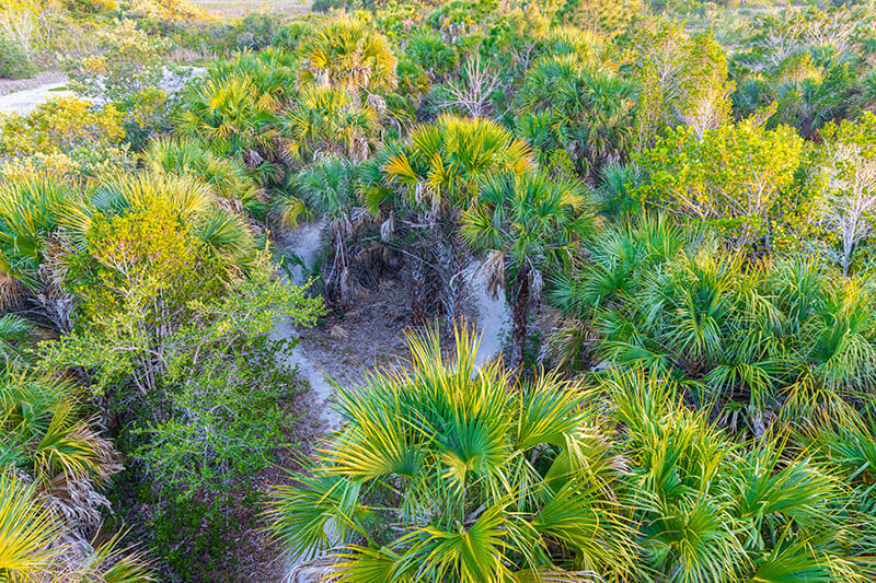 Rotary Park Environmental Center