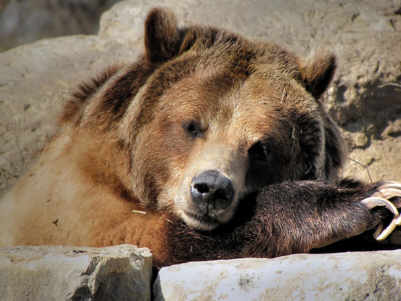 Sedgwick County Zoo