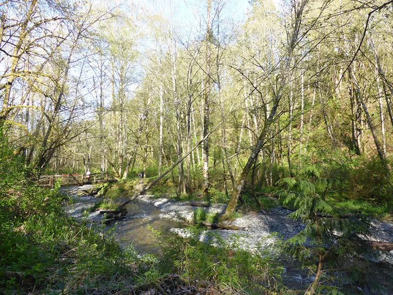 Swan Creek Park