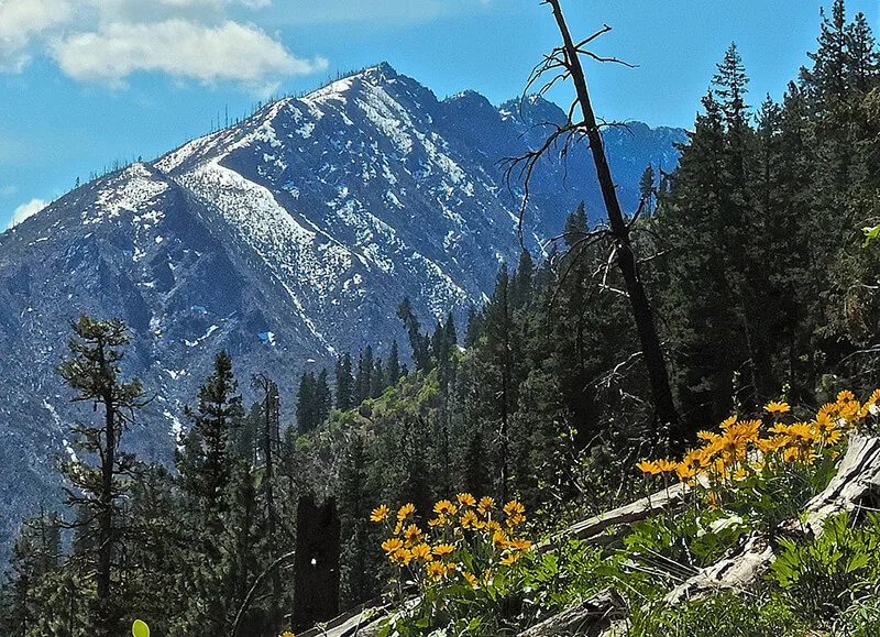 Wedge Mountain