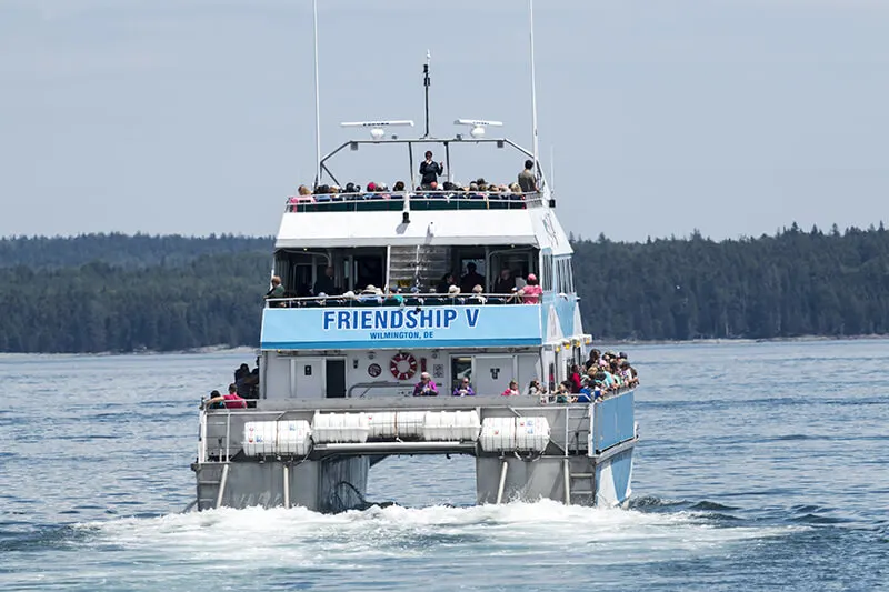 Bar Harbor Whale Watch Company