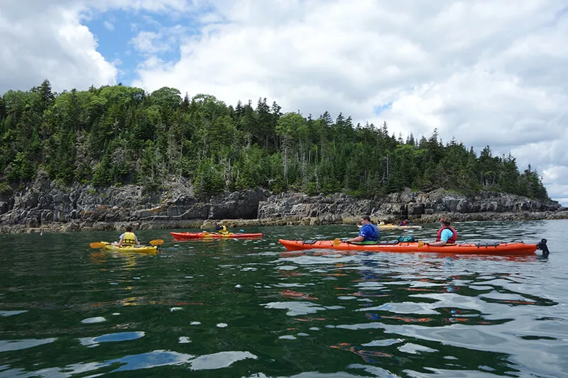 Coastal Kayaking Tours