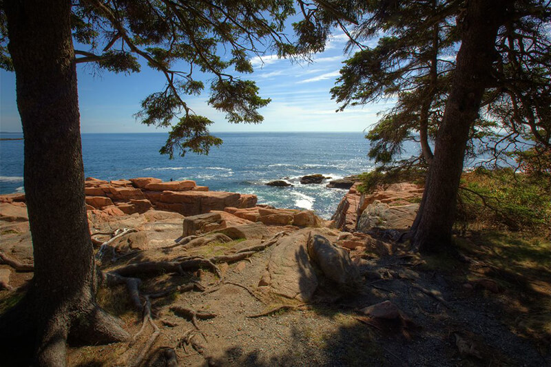 Ocean Path Trail