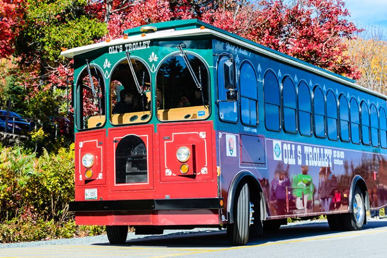 25 Fun Things To Do In Bar Harbor (ME) Attractions & Activities