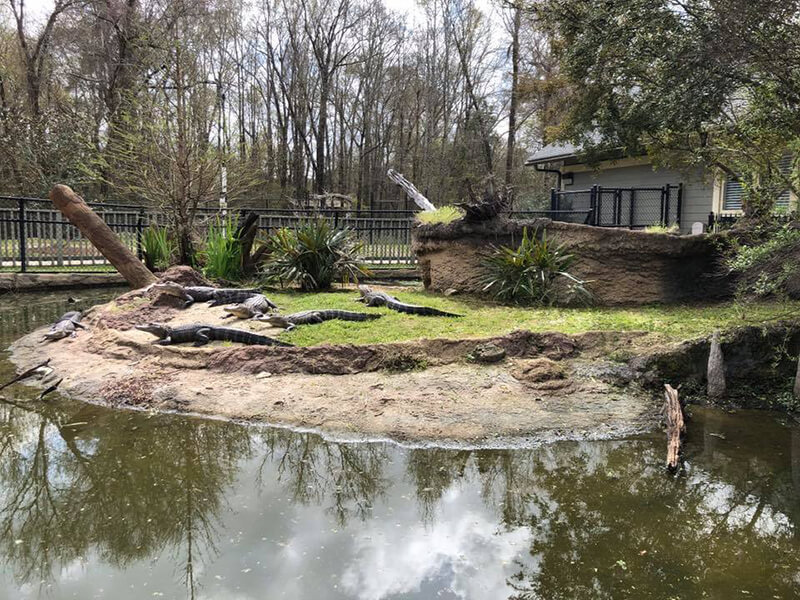 Oxbow Meadows Environmental Learning Center