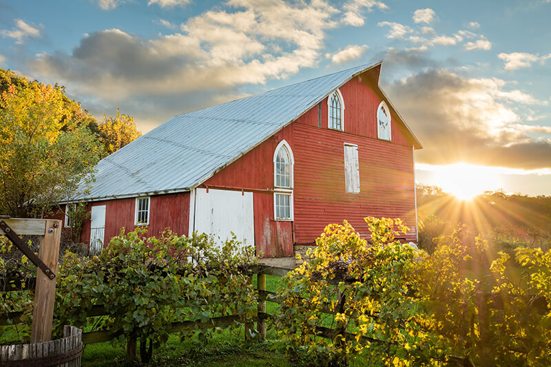 Galena Cellars Vineyard & Winery