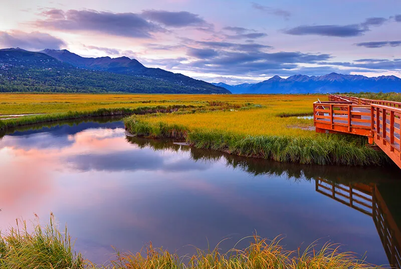 Anchorage Coastal Wildlife Refuge