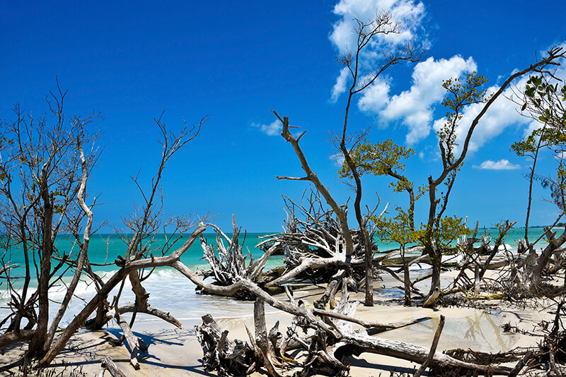 Beer Can Island