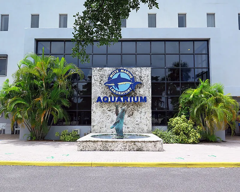 Mote Marine Laboratory & Aquarium