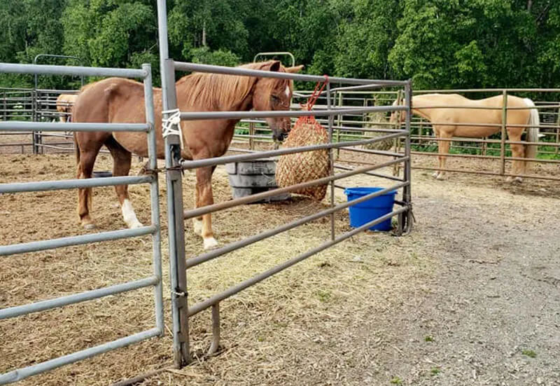 Rockin' B Ranch