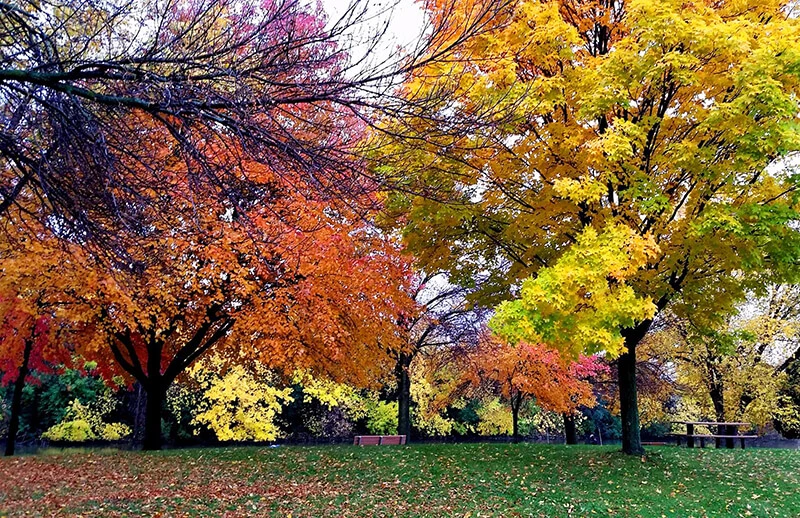 Voyageur Park