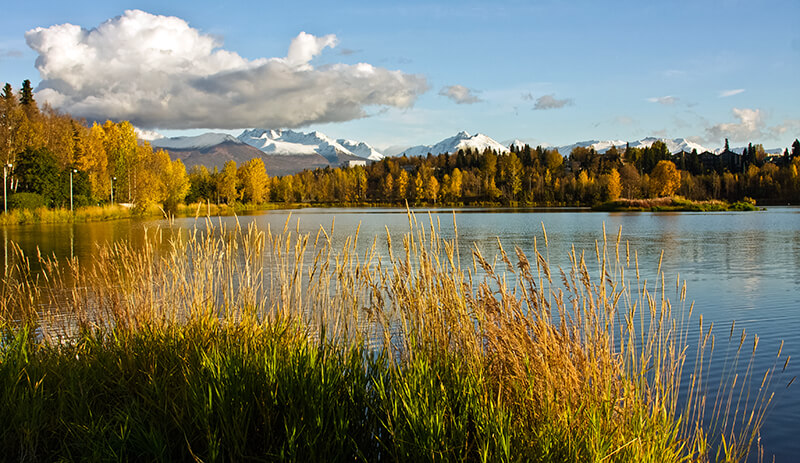 Westchester Lagoon