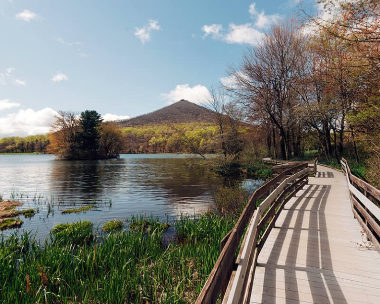 27 Fun Things To Do In Roanoke (VA) Attractions & Activities