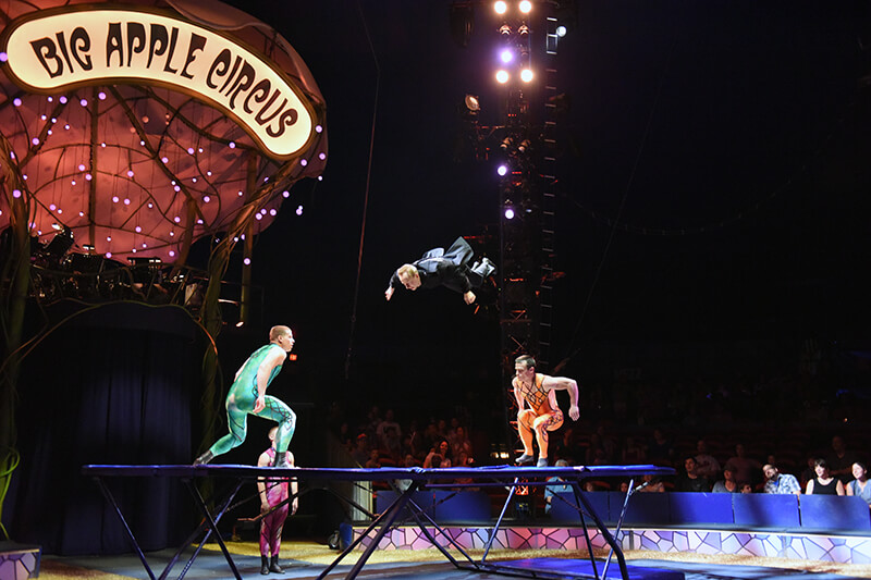 Big Apple Circus