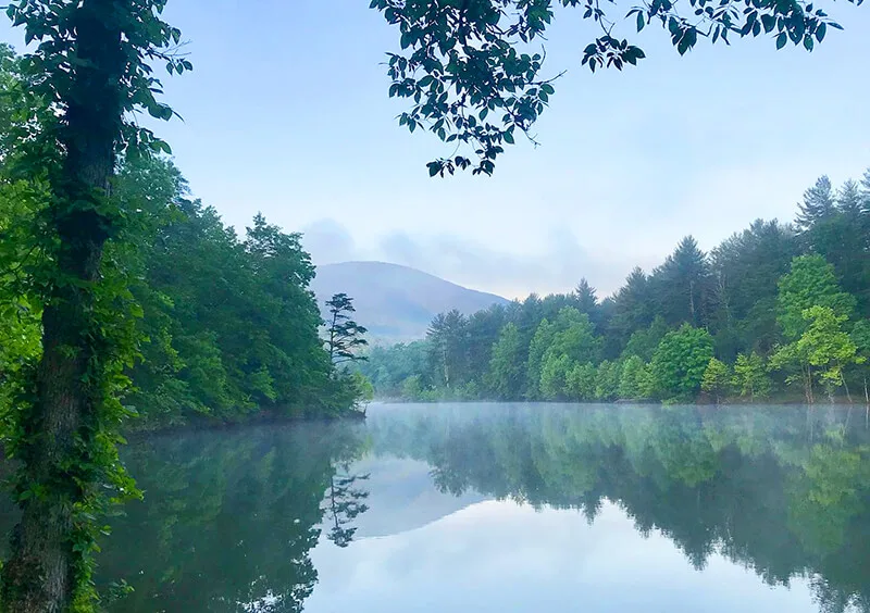 Carvins Cove Natural Reserve