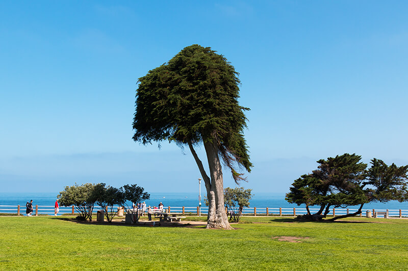 Ellen Browning Scripps Park