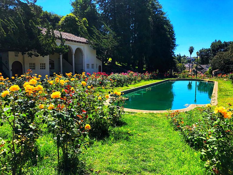 33 Fun Things To Do In Oakland (CA) Attractions & Activities