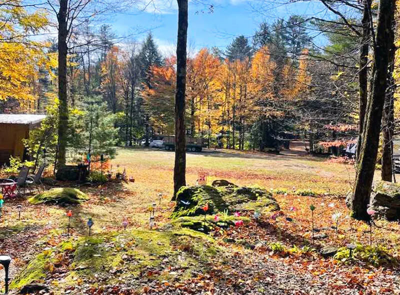 Mt. Greylock Campsite Park