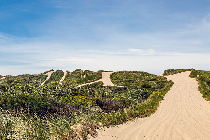 Oregon Dunes