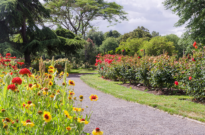 Owen Rose Garden