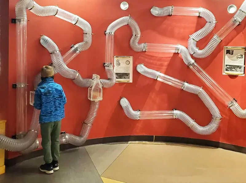 Science Museum of Western Virginia