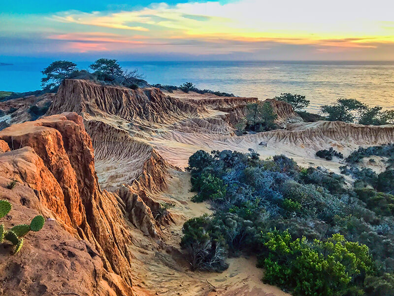 Torrey Pines State Natural Reserve