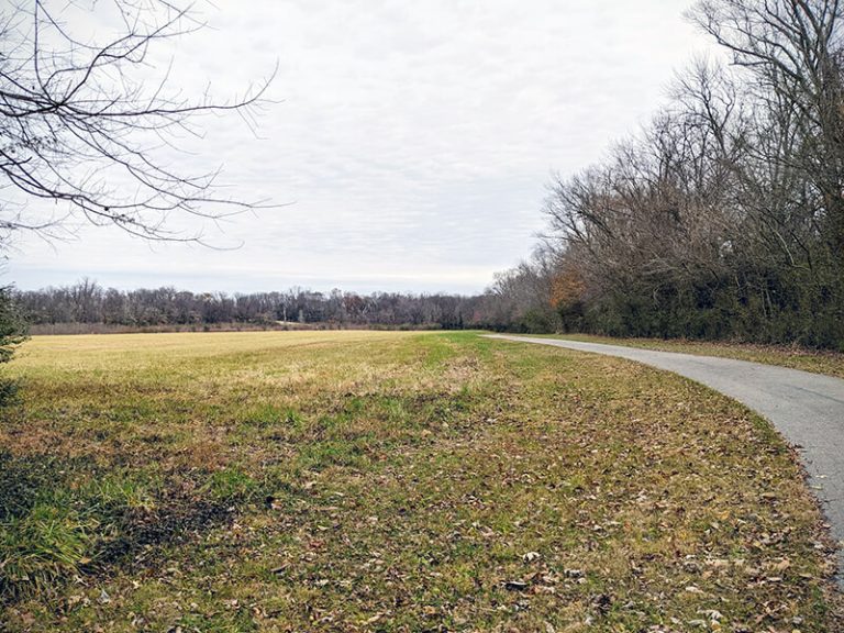 30 Things To Do In Bowling Green (KY) Attractions & Activities