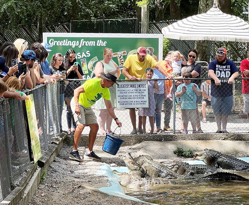 Arkansas Alligator Farm & Petting Zoo