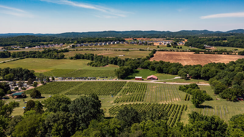 Arrington Vineyards