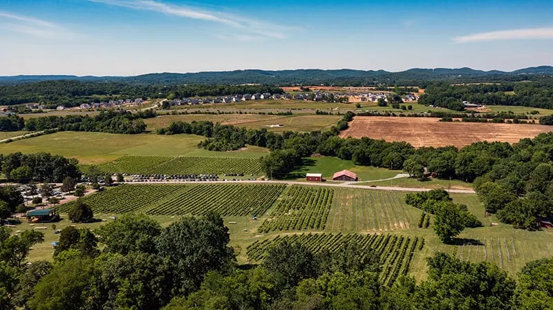 Arrington Vineyards