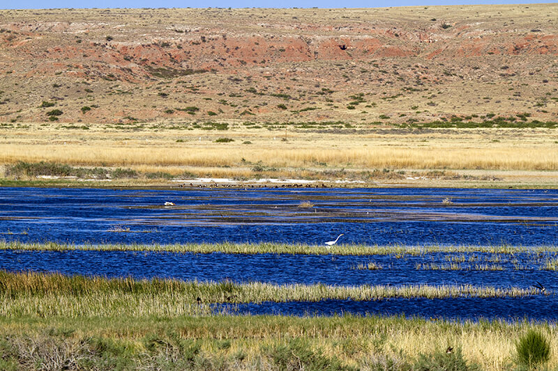 Bitter Lake National Wildlife Refuge