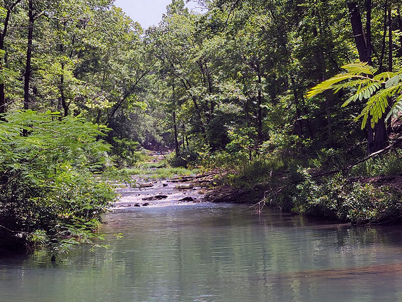 Charlton Recreation Area