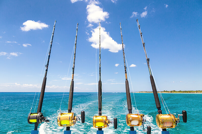Deep-Sea Fishing And Sportfishing